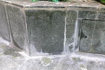 Temel Temizlik Yüzme Havuzu