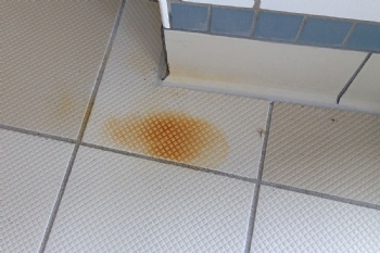 Fayanslardaki Pasları Temizleyin