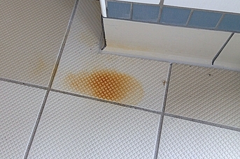 Pas Lekelerini Fayanslardan Çıkarın